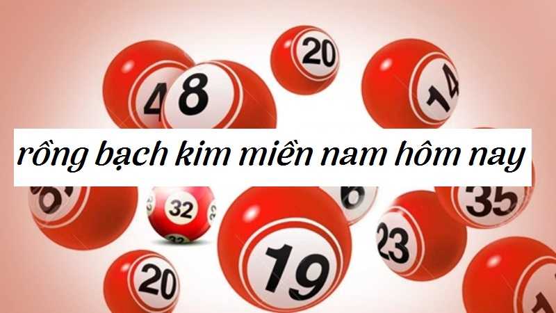 Có nên hay không soi cầu Rồng Bạch Kim hôm nay hay không?